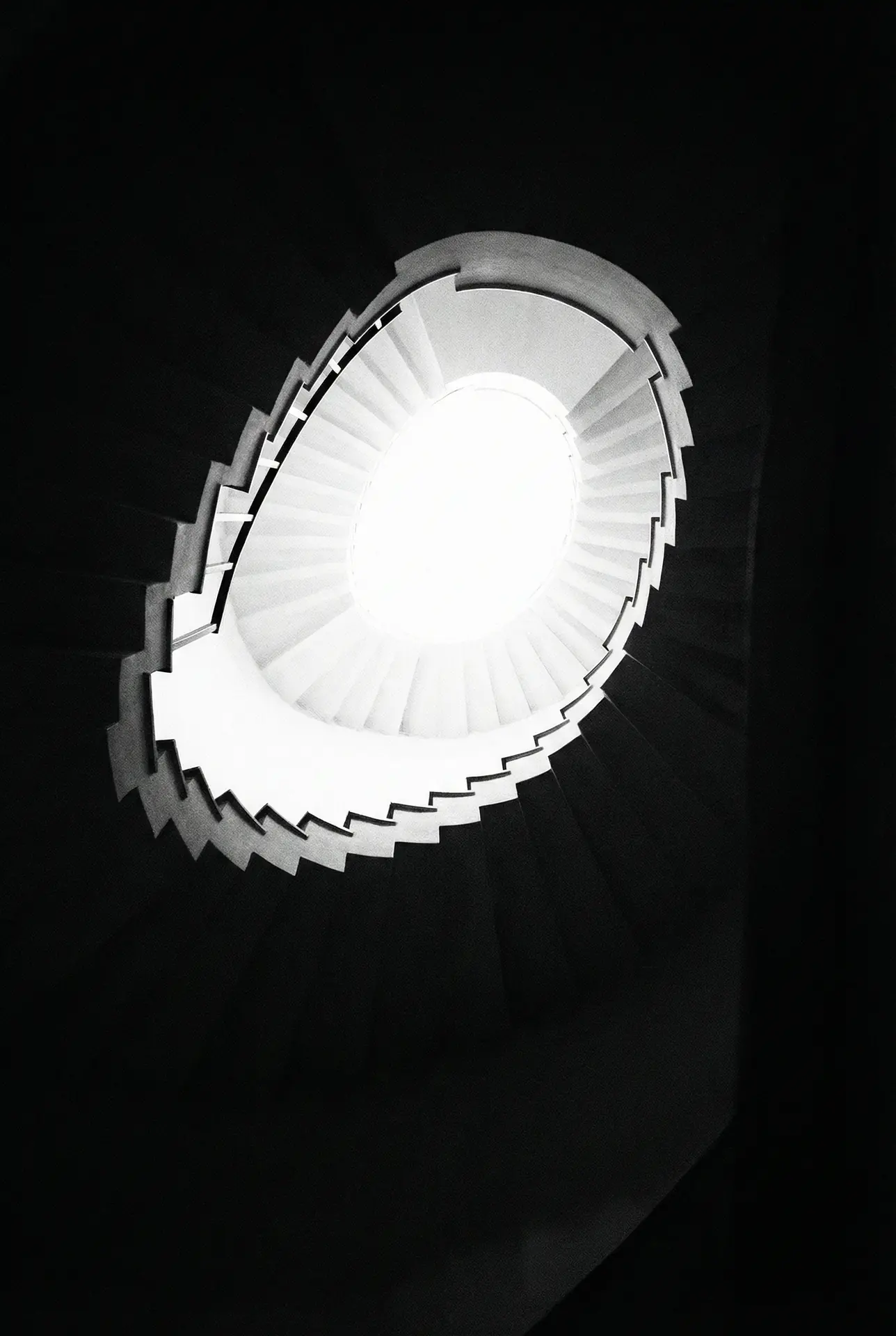 独立电影 影片海报：旋转楼梯